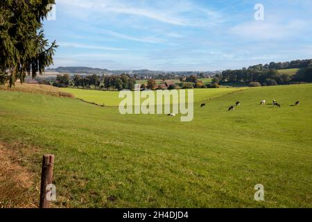 Die Landschaft der Provinz Limburg mit Tälern und Hügeln in der Nähe des Dorfes Mechelen, Niederlande Stockfoto