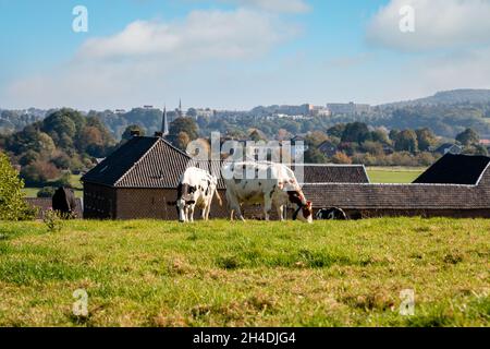 Die Landschaft der Provinz Limburg mit Tälern und Hügeln in der Nähe des Dorfes Mechelen, Niederlande Stockfoto