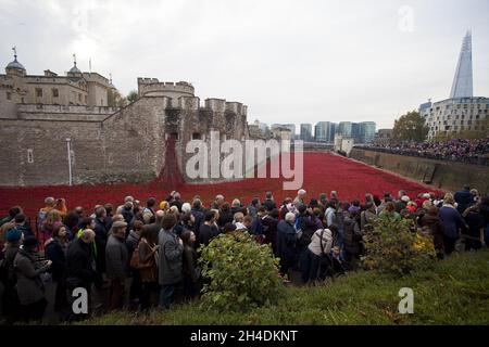 Die Besucher bewundern die Kunstinstallation „Blood Swept Lands and Seas of Red“, die aus Tausenden von Keramikmohn besteht – einer für jeden der britischen Todesopfer des Ersten Weltkriegs – von dem Künstler Paul Cummins am Graben im Tower of London Stockfoto