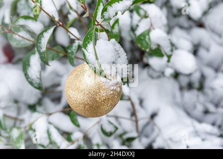 Schneebedeckter weihnachtsbaum, geschmückt mit Weihnachtskugeln aus Gold Stockfoto
