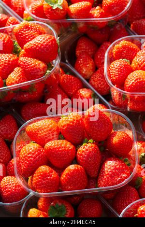 Italien, Lombardei, Marktstand, Erdbeeren in Plastikbehältern Stockfoto