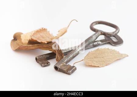 Paar alte Schlüssel und trockene Blätter Stockfoto