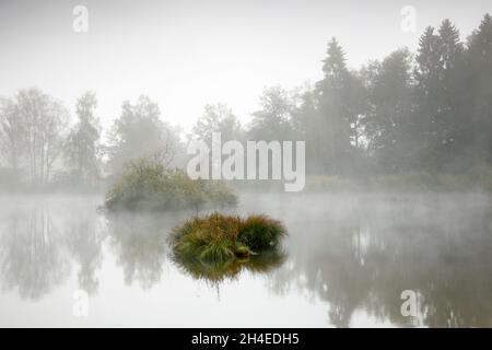 Herbstliche Stimmung an Weiher im Naturschutzgebiet Wildert in Illnau, Raureif bedeckt Vegetation auf den Inseln und Nebelschweben über dem W Stockfoto