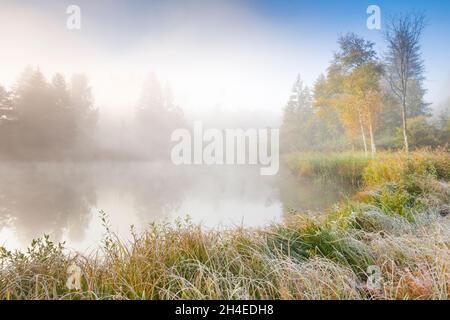 Herbstliche Stimmung an Weiher im Naturschutzgebiet Wildert in Illnau, Raureif bedeckt Vegetation und Nebelwasser schweben über dem Wasser, Kanton Z Stockfoto