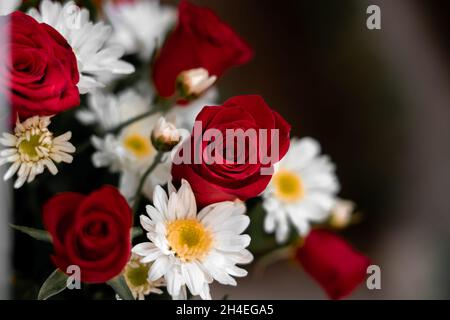 Ein paar rote Rosen und Gänseblümchen aus nächster Nähe Stockfoto