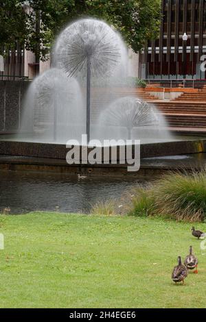 Ferrier-Brunnen, Dandelionenköpfe, modern, 3 Globen, Kreise, Wasserbewegung, 3 Enten auf Gras, Tierwelt, Fluss Avon, Victoria Square, South Island, Chr Stockfoto