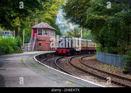 Die Lakeside and Haverthwaite Railway wurde 1869 eröffnet. Stockfoto