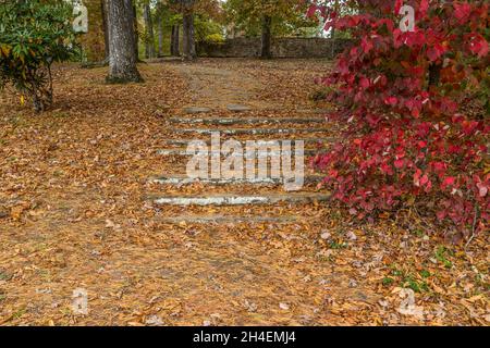 Große Steintreppen, die mit den umgestürzten Blättern und Piniennadeln bedeckt sind, mit einem brennenden Busch und Bäumen und einem Picknickbereich an der Steinmauer im Hintergrund Stockfoto