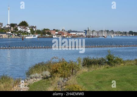 Heringszaun in der Stadt Kappeln ist ein einmaliges Dokument des Fischfangs in der Schlei. Es ist der letzte noch funktionstüchtige Heringszaun Stockfoto