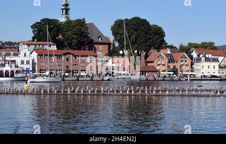 Heringszaun in der Stadt Kappeln ist ein einmaliges Dokument des Fischfangs in der Schlei. Es ist der letzte noch funktionstüchtige Heringszaun Stockfoto