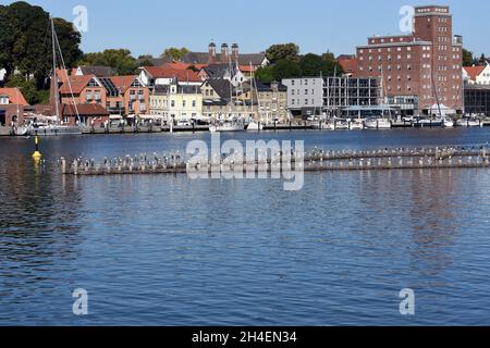 Heringszaun in der Stadt Kappeln ist ein einmaliges Dokument des Fischfangs in der Schlei. Es ist der letzte noch funktionstüchtige Heringszaun Stockfoto