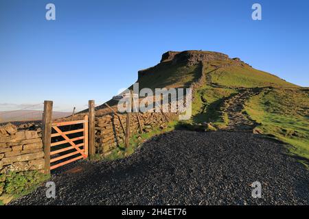 Fußweg zum Gipfel des Penyghent, einem Berg in den Yorkshire Dales und einem der berühmten „drei Gipfel“. Stockfoto