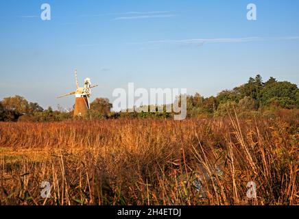 Blick über Schilfbeete im Herbst auf die Turf Fen Drainage Mill am Fluss Ant auf den Norfolk Broads in Ludham, Norfolk, England, Vereinigtes Königreich. Stockfoto