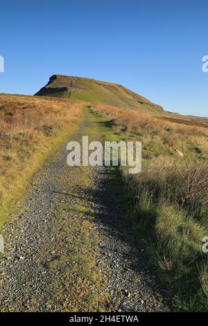 Fußweg zum Gipfel des Penyghent, einem Berg in den Yorkshire Dales und einem der berühmten „drei Gipfel“. Stockfoto