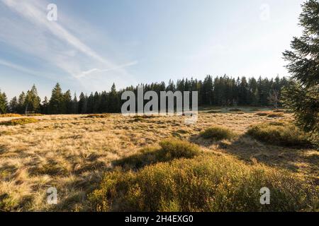 Schachten im Bayerischen Wald, Schachten im Bayerischen Wald Stockfoto