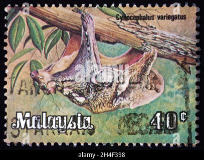 MALAYSIA - UM 1979: Eine in Malaysia gedruckte Marke zeigt Sunda Flying Lemur, Galeopterus variegates, eine Colugo-Art, die in Südostasien gefunden wurde, Stockfoto