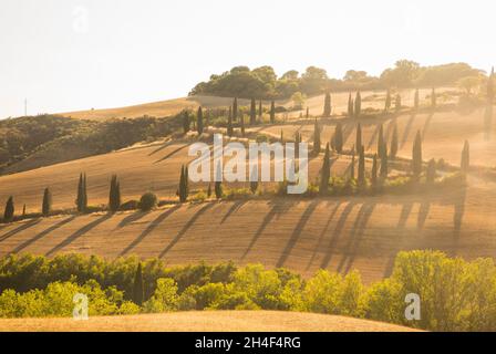 ITALIEN TOSKANA Stockfoto