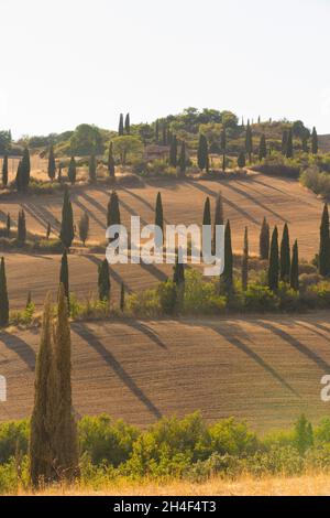 ITALIEN TOSKANA Stockfoto