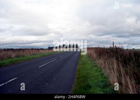 Straße auf Stublick Moor mit bewölktem Himmel, Langley, Hexham, Northumberland, England, VEREINIGTES KÖNIGREICH Stockfoto