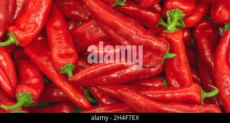 Eine Menge von roten Chili-Paprika, Textur Hintergrund. Stapel von frischen reifen Chilischoten Muster, hohe Qualität Stockfoto
