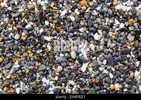 Nahaufnahme von gemischten feuchten Kieselsteinen und Muscheln am Strand in Kalifornien Stockfoto