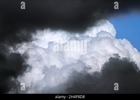 Dunkle bedrohliche Sturmwolken und Kumulus congestus Wolke / hoch aufragenden Kumulus entwickeln sich am Himmel Stockfoto