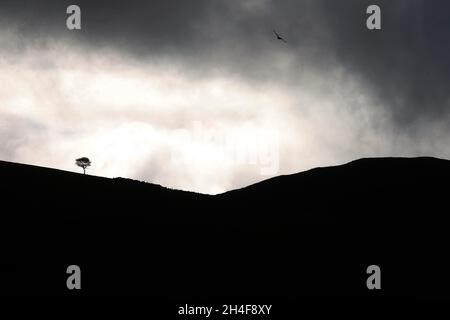 Überquerung der irischen Grenze von Greencastle in Nordirland nach Greenore in der Republik Irland mit der Autofähre an der Ostküste der Insel. Stockfoto