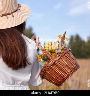 Frau Sholding Korb mit wilden Blumen. Frau pflückt Blumen / Kräuter in der Natur. Stockfoto