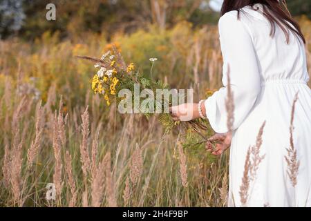 Die Frau hält einen Strauß wilder Blumen. Eine Frau, die Blumen / Kräuter in der Natur sammelt. Kopierbereich. Stockfoto