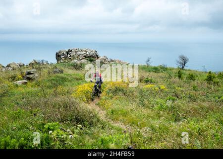 Alleinreisende Frau mit dem Mountainbike auf dem Donkey Burros Trail in einem mit Frühlingsblumen bedeckten Hang, der hinunter zum Guincho Strand in Serra de Sintra führt Stockfoto