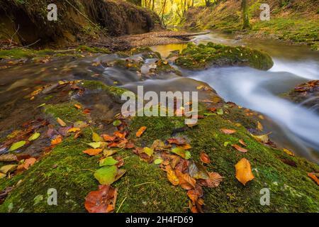 Bergbach mit kleinen und Wasserfälle im Herbst, Zumberak, Kroatien Stockfoto