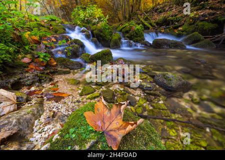 Bergbach mit kleinen und Wasserfälle im Herbst, Zumberak, Kroatien Stockfoto