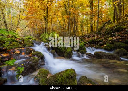 Bergbach mit kleinen und Wasserfälle im Herbst, Zumberak, Kroatien Stockfoto