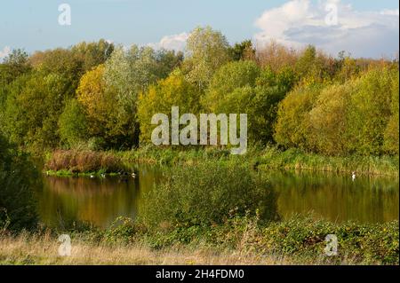 Slough, berkshire, Großbritannien. November 2021. Slough Kläranlagen am Ufer des Jubilee River. Die Kläranlagen sollen modernisiert werden. Einer der Gründe ist die Erhöhung der Kapazität der Kläranlagen. Unter Dorney Common und dem Jubilee River soll eine neue Fallleitung errichtet werden, was bedeutet, dass das Wasser der Themse in der Lage sein wird, „behandeltes“ Abwasser- und Sturmwasser direkt in die Themse zu leiten. Bodenuntersuchungen haben bereits begonnen. Das Wasser der Themse wurde Anfang dieses Jahres mit einer Geldstrafe von 2,3 Mio. £belegt, weil es 2016 in Henley Abwasser in die Themse abgeführt und 1,200 Fische getötet hatte. Kredit: Maureen Mc Stockfoto