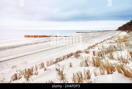 Dünen am Ostseestrand in Dziwnowek, selektiver Fokus, Polen. Stockfoto