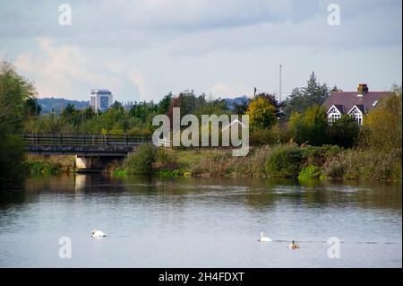 Slough, berkshire, Großbritannien. November 2021. Slough Kläranlagen am Ufer des Jubilee River. Die Kläranlagen sollen modernisiert werden. Einer der Gründe ist die Erhöhung der Kapazität der Kläranlagen. Unter Dorney Common und dem Jubilee River soll eine neue Fallleitung errichtet werden, was bedeutet, dass das Wasser der Themse in der Lage sein wird, „behandeltes“ Abwasser- und Sturmwasser direkt in die Themse zu leiten. Bodenuntersuchungen haben bereits begonnen. Das Wasser der Themse wurde Anfang dieses Jahres mit einer Geldstrafe von 2,3 Mio. £belegt, weil es 2016 in Henley Abwasser in die Themse abgeführt und 1,200 Fische getötet hatte. Kredit: Maureen Mc Stockfoto