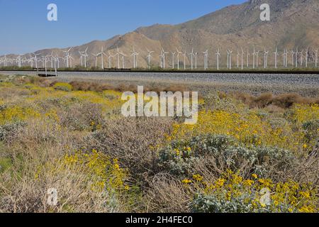 Der riesige Windpark San Gorgonio Pass, in der Nähe von Cabazon CA Stockfoto