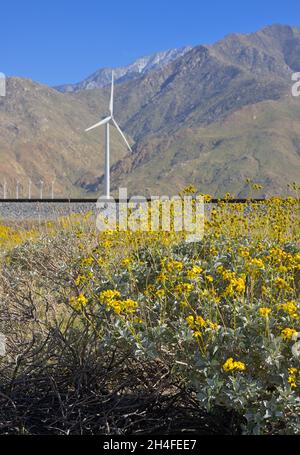 Der riesige Windpark San Gorgonio Pass, in der Nähe von Cabazon CA Stockfoto