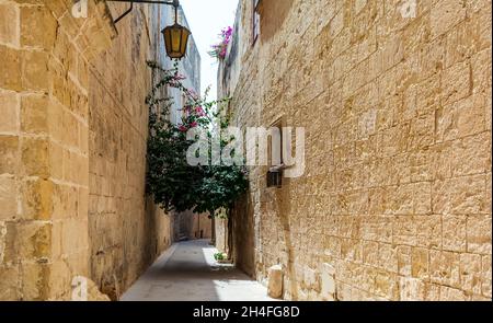 Typische Mdina Straße. Schmale mittelalterliche Straße von Mdina, auch als "stille Stadt" bekannt, gepflastert mit Steinplatten und mit gelben Kalkstein Mauern umgeben. Stockfoto