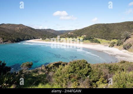 Blick über den weißen Sand am Tapotupotu Beach Cape Reinga, Neuseeland Stockfoto