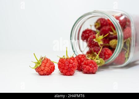 Frisch gepflückte rote Himbeeren, einige Beeren aus einem Glas auf weißem Grund verstreut. Stockfoto