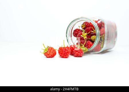 Frisch gepflückte rote Himbeeren auf einem weißen Teller in einem umgedrehten Glas. Stockfoto