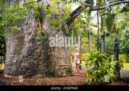 Ein Mädchen neben einem Baobab im botanischen Garten auf der Insel Mauritius. Stockfoto