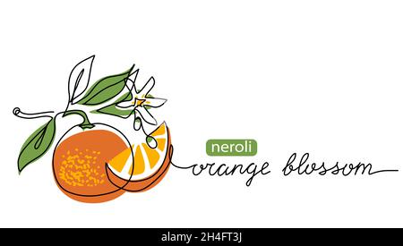 Orangenblüte, Neroli-Vektor-Illustration. Eine fortlaufende Linienkunstzeichnung von Zitrusblüten mit Schriftzug Orangenblüte Stock Vektor