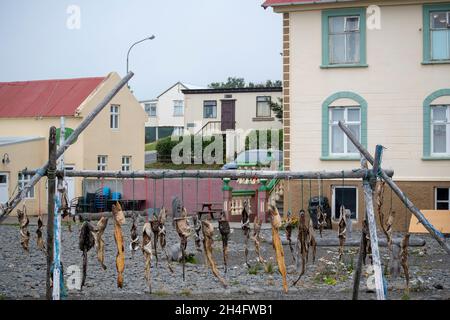 Verschiedene Fische hängen von Fisch Trockengestell Nordisland Stockfoto