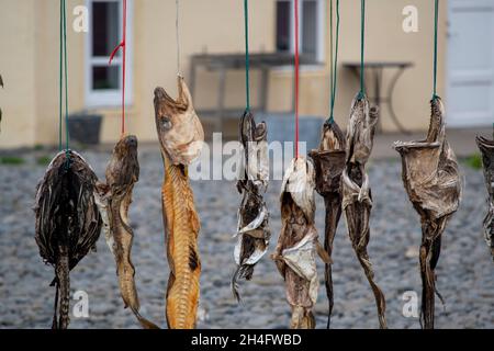 Verschiedene Fische, die in Island an einem Trockengestell hängen Stockfoto