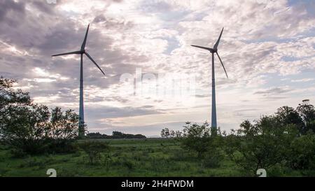 Bodenansicht von zwei isolierten Windturbinen, die in der Mitte eines Grasfeldes mit bewölktem Himmel im Hintergrund dargestellt sind Stockfoto