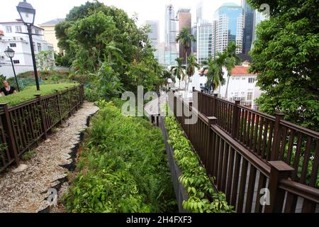 Ann Siang Hill Park in Singapurs Chinatown-Viertel. Ein öffentlicher Park mit Bäumen und Bänken und Blick auf die Wolkenkratzer des Finanzviertels von Singapur. Stockfoto