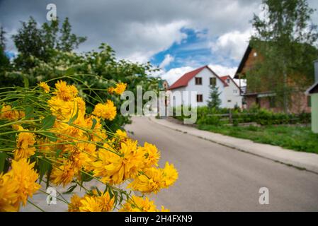 Die Stadt liegt im Zentrum der Durmitor-Bergregion und ist mit einer Höhe von 1,456 Metern die höchstgelegene Balkanstadt. Stockfoto