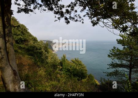 Blick vom South West Coast Path auf die Durlston Bay Stockfoto